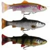 Savage 4D Line Thru Pulse Tail Trout 16cm -Pole Fishing promo 0tcxdh3s636955095983628519