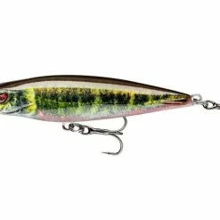 Daiwa Prorex Pencil Baits -Pole Fishing promo 2i3jpkx1636789087689208519