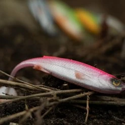 Savage Craft Shad Mix Pack -Pole Fishing promo 30ovtgko637927817223915822