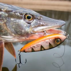 Abu Garcia Svartzonker McSnack Lures -Pole Fishing promo 3x3szuix637284180454252527