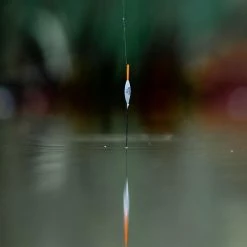 Guru Bagger Pole Floats -Pole Fishing promo 5t45ukz5638005596952006395