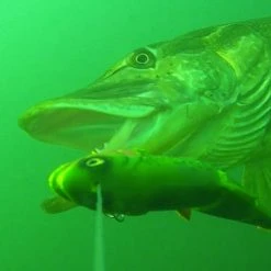 Savage 4D Line Thru Trout -Pole Fishing promo a03quzoi638113596199441564