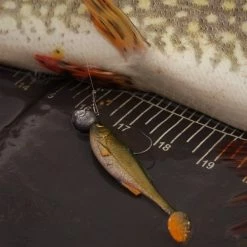 Savage Craft Shads -Pole Fishing promo ahg1zzhm638107643624527631