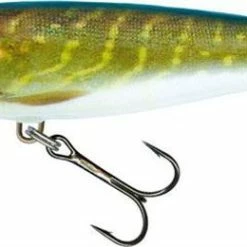 Salmo Pike -Pole Fishing promo c1sv1uj1636311445888006404