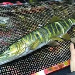 Savage 4D Line Thru Pike 7 Savage 4D Line Thru Pike -Pole Fishing promo detbgsil636796197163951283