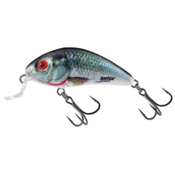 Salmo Rattlin Hornet Shallow Floating 8 Salmo Rattlin Hornet Shallow Floating -Pole Fishing promo eawky22e637177152937351854
