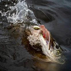 Fox Rage Spinners 10 Fox Rage Spinners -Pole Fishing promo ha5ctlzx637562462210393913