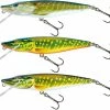 Salmo Pike 2 Salmo Pike -Pole Fishing promo k4lpepwk636341680754299778