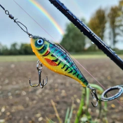 Rapala Twitchin Rap Lures 12cm -Pole Fishing promo lkrp4coy637441565593632301