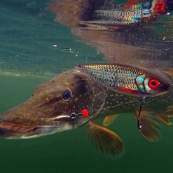 Rapala X-Rap Haku 14cm -Pole Fishing promo oh4kcxla637442216808448557