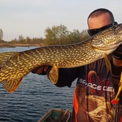 Savage 4D Line Thru Perch Shad 20cm 7 Savage 4D Line Thru Perch Shad 20cm -Pole Fishing promo pr5tmn5o637424281288438960