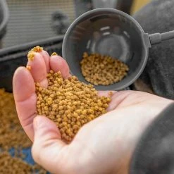 Preston Innovations Pole Kup Set 17 Preston Innovations Pole Kup Set -Pole Fishing promo rstkkxj0638143874893296481