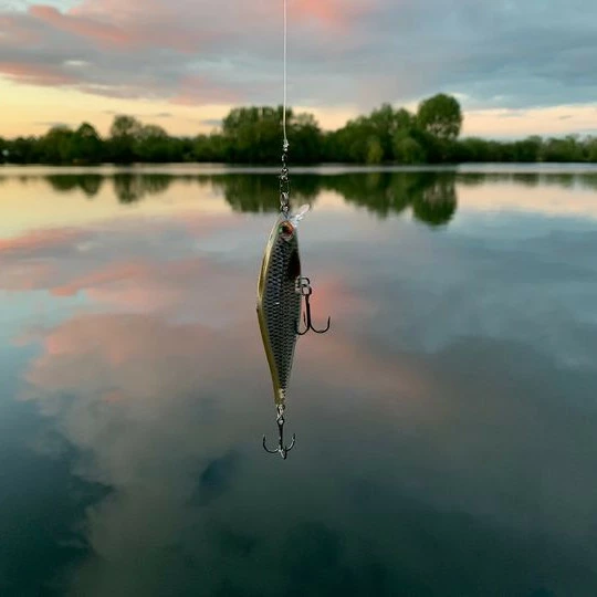 Rapala Shadow Rap Shads 9cm 5 Rapala Shadow Rap Shads 9cm - Image 3