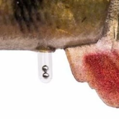 Savage 4D Line Thru Perch 9 Savage 4D Line Thru Perch -Pole Fishing promo sbidfu1h636353612522841337