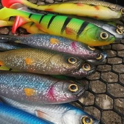 Savage Craft Shads -Pole Fishing promo se0x4lqc637989160228693576