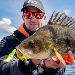 Savage Craft Shad Mix Pack -Pole Fishing promo sk0qji0k638107642732734679