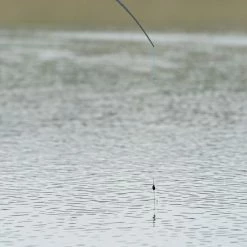 Daiwa KC Carpa Gloucester Wire Stem -Pole Fishing promo unv43xit638110324411969706