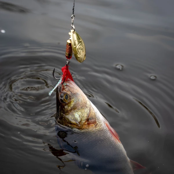 Fox Rage Spinners 5 Fox Rage Spinners - Image 3