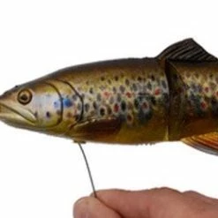 Savage 4D Line Thru Trout -Pole Fishing promo xztqruuh636352789901258575